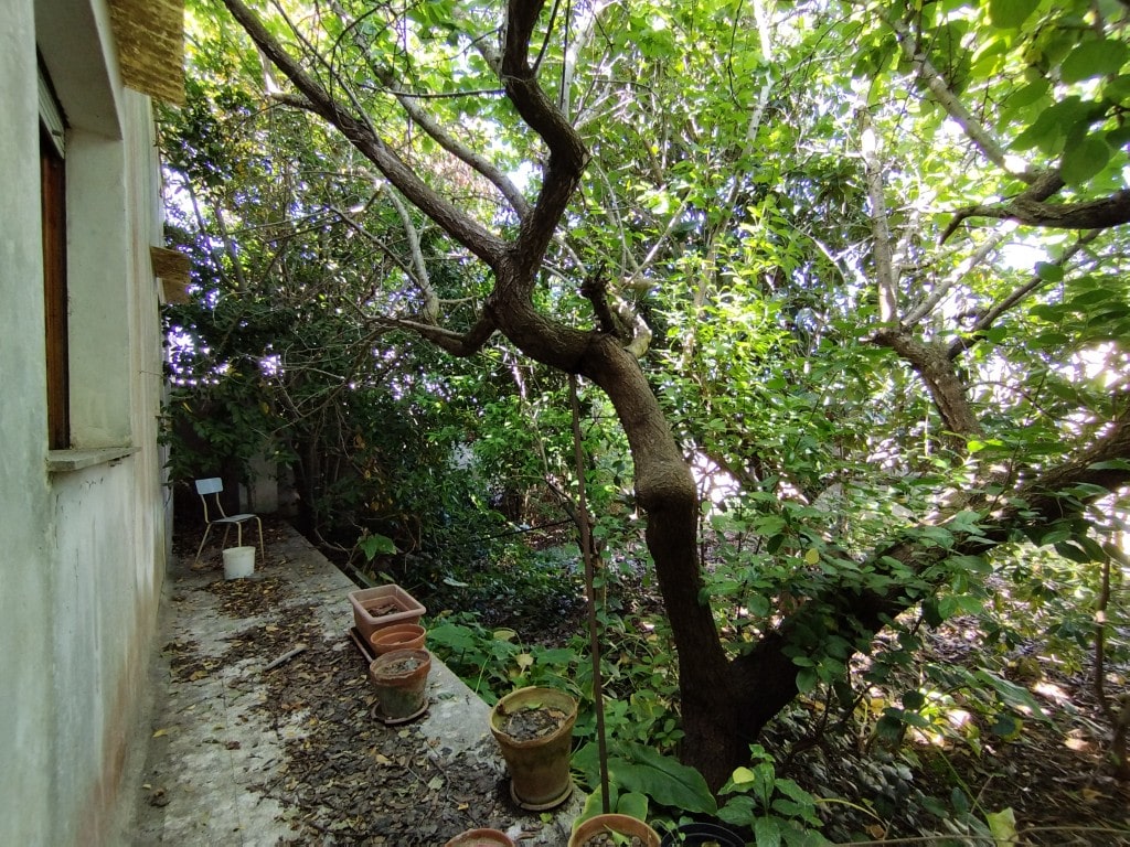 Giano Group Immobiliare